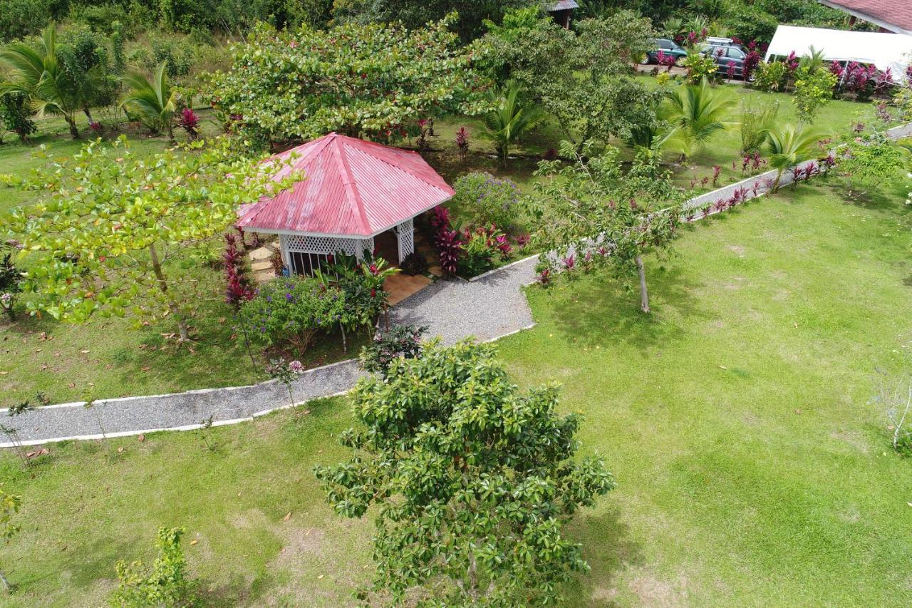 Hope Garden, Sarapiqui, We Connect You With The Sarapiqui Tropical Forest ภายนอก รูปภาพ