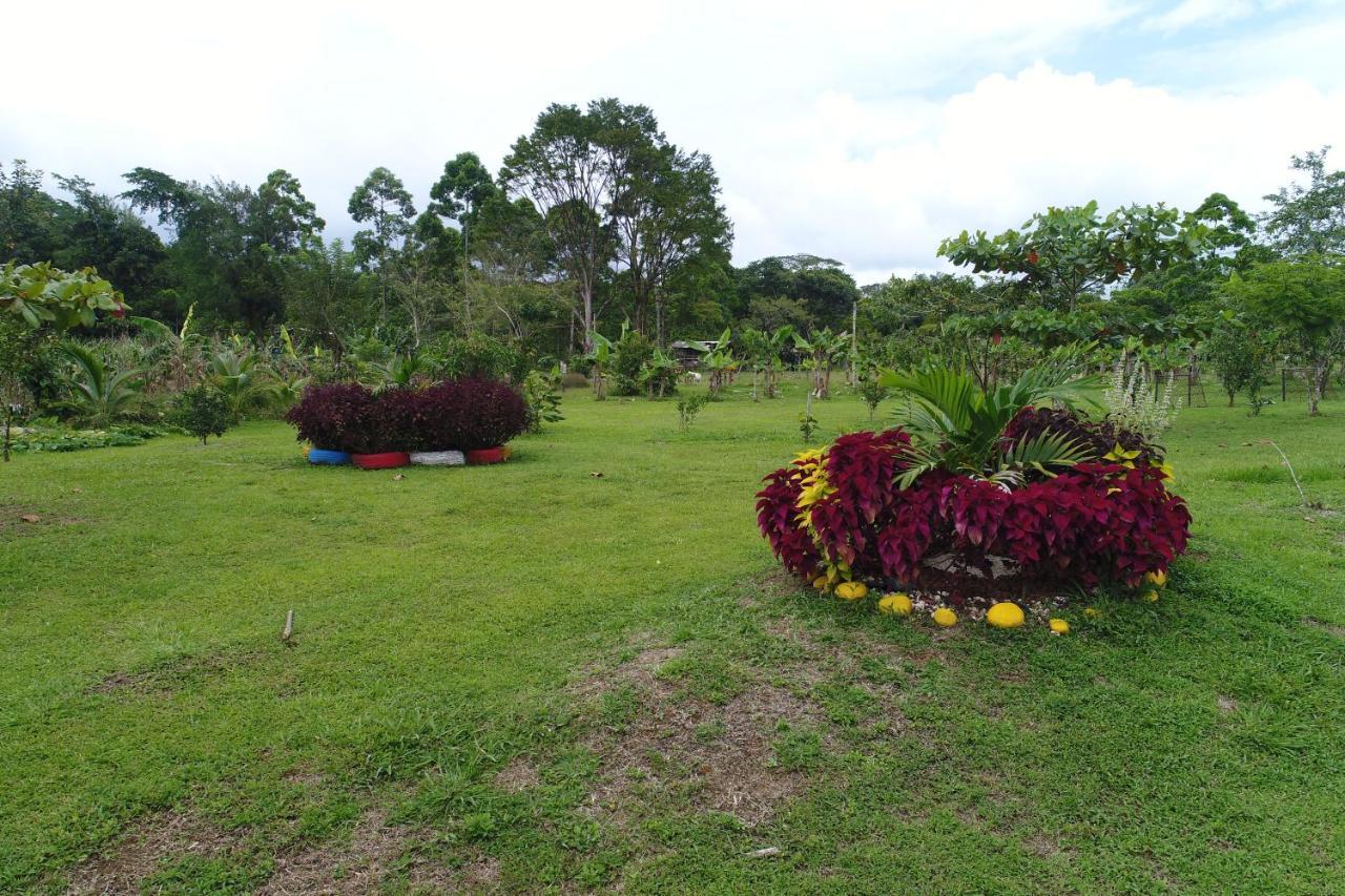 Hope Garden, Sarapiqui, We Connect You With The Sarapiqui Tropical Forest ภายนอก รูปภาพ