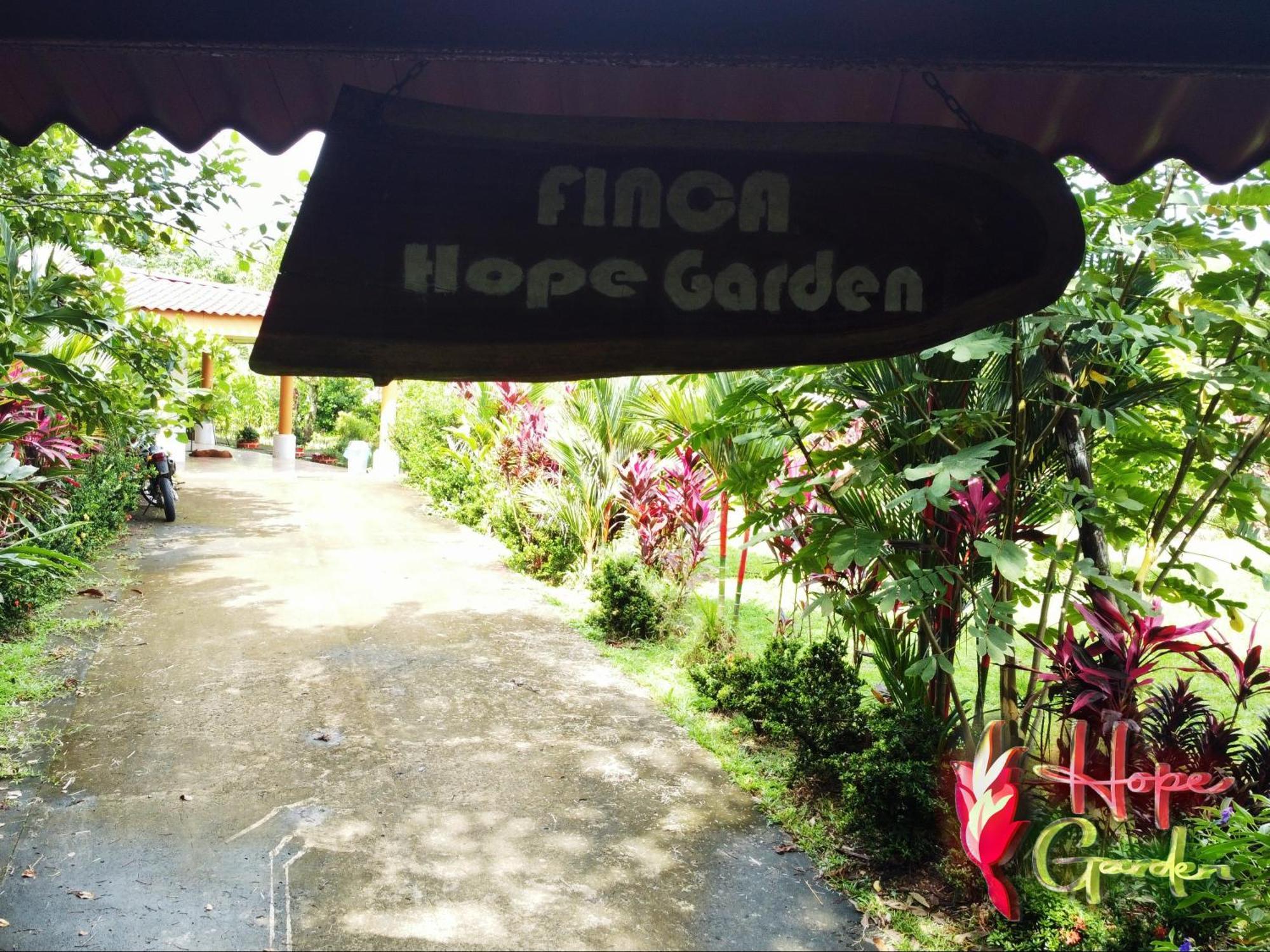 Hope Garden, Sarapiqui, We Connect You With The Sarapiqui Tropical Forest ภายนอก รูปภาพ