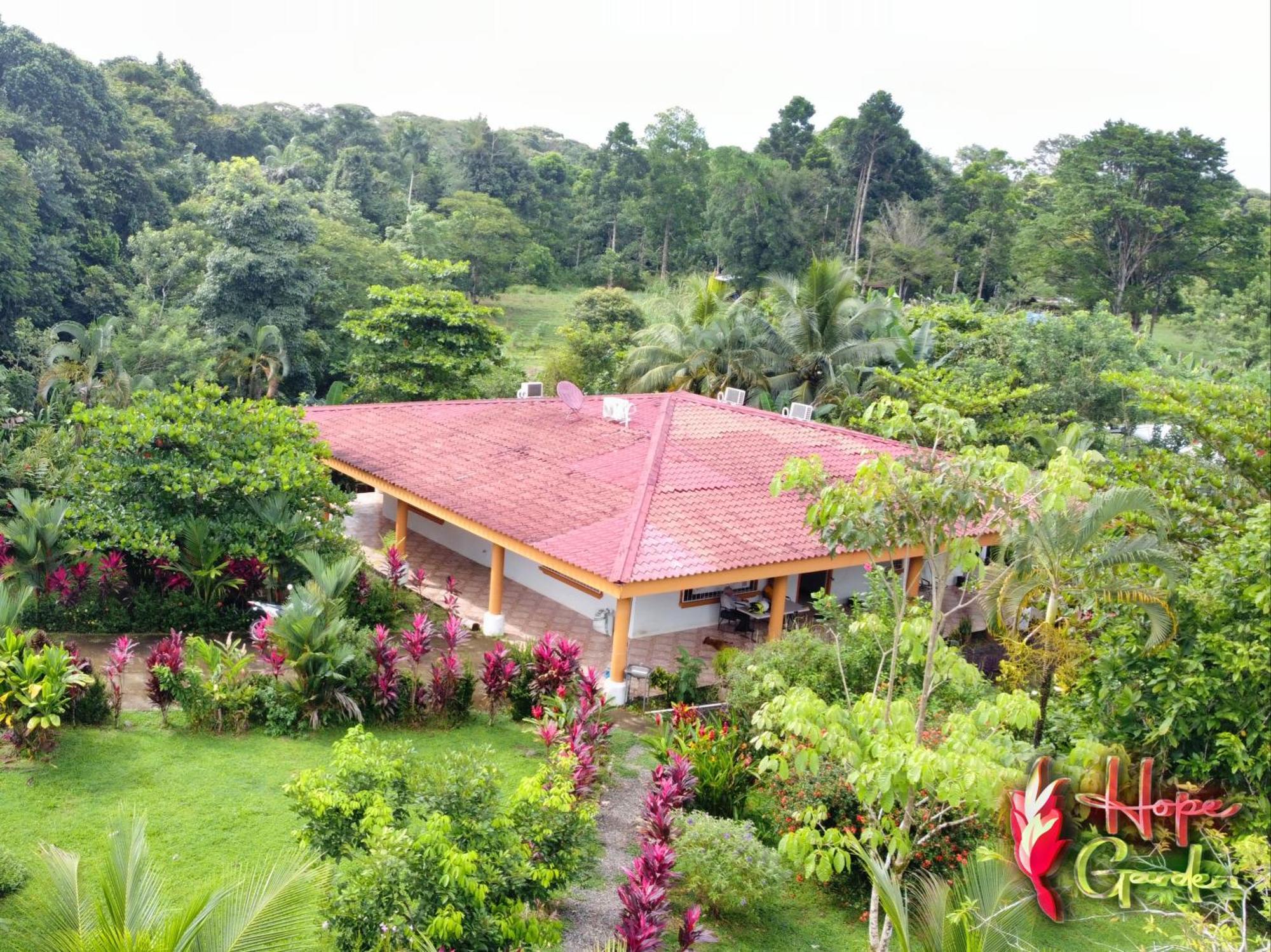Hope Garden, Sarapiqui, We Connect You With The Sarapiqui Tropical Forest ภายนอก รูปภาพ