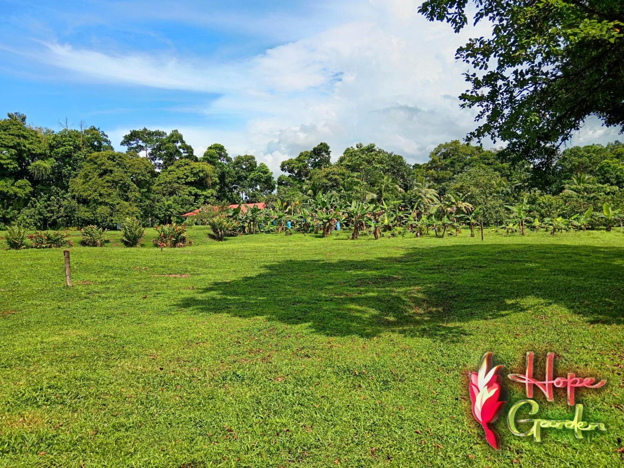 Hope Garden, Sarapiqui, We Connect You With The Sarapiqui Tropical Forest ภายนอก รูปภาพ